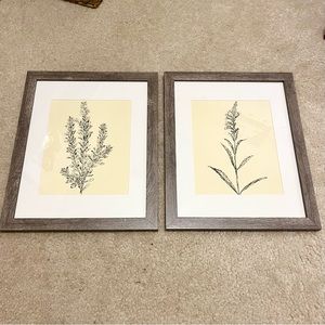 Framed Prints 11"x14"